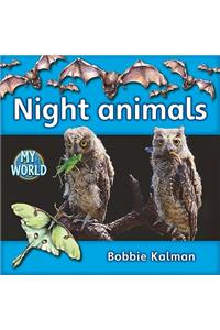 Night Animals