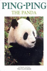 Ping Ping the Panda