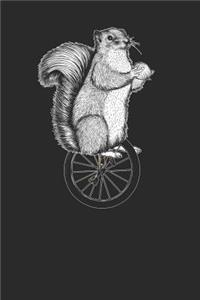 Squirrel Unicycle