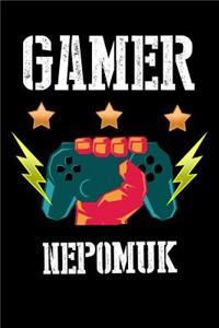 Gamer Nepomuk