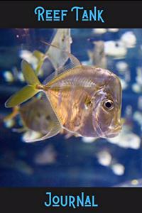 Reef Tank