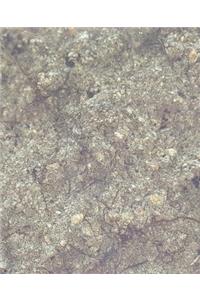 School Composition Book Smooth Rock Surface Photo