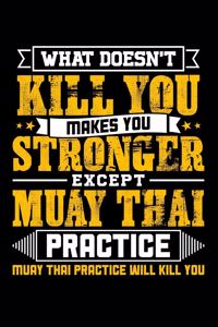 What doesn't kill you makes you stronger except Muay Thai practice Muay Thai practice will kill you