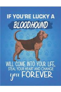 If You're Lucky A Bloodhound Will Come Into Your Life, Steal Your Heart And Change You Forever