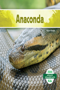 Anaconda (Spanish Version)