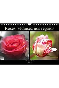 Roses, Seduisez Nos Regards 2018