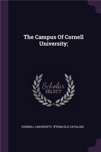Campus Of Cornell University;