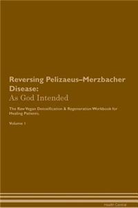 Reversing Pelizaeus-Merzbacher Disease: As God Intended the Raw Vegan Plant-Based Detoxification & Regeneration Workbook for Healing Patients. Volume 1