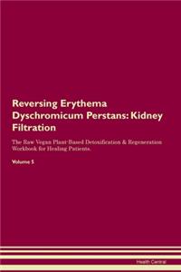 Reversing Erythema Dyschromicum Perstans: Kidney Filtration The Raw Vegan Plant-Based Detoxification & Regeneration Workbook for Healing Patients. Volume 5