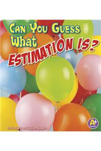 Can You Guess What Estimation Is?