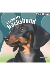 I Love My Dachshund