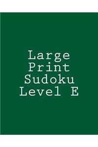 Large Print Sudoku Level E