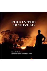 Fire in the Bushveld