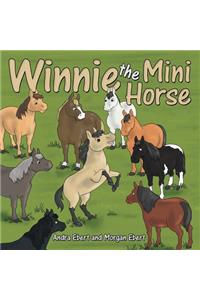 Winnie the Mini Horse