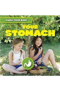 Your Stomach