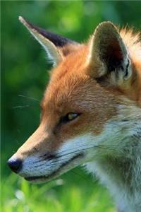 MindBlowing Cut Animal Fox Journal 10