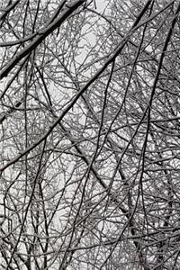 Winter Season Journal Snowstorm Effect