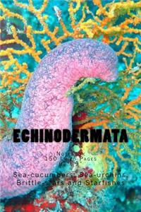 Echinodermata
