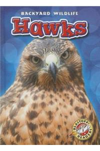 Hawks