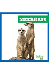 Meerkats