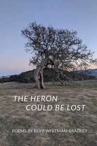 Heron Could be Lost