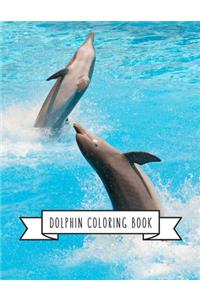 Dolphin Coloring Book