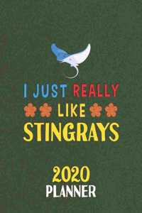 I Just Really Like Stingrays 2020 Planner