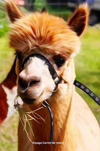 Alpaga Carnet de notes