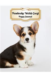 Pembroke Welsh Corgi Puppy Journal