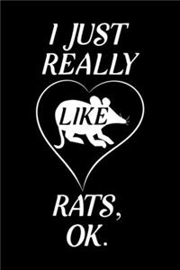 I Just Really Like Rats, OK