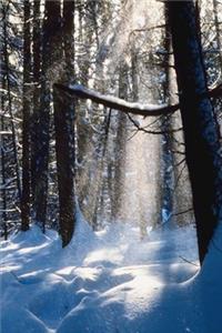 2020 Weekly Planner Winter Theme Sun On Snow 134 Pages