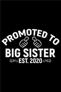 Promoted To Big Sister Est.2020