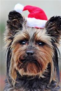 Cute Little Yorkshire Terrier with a Santa Claus Hat Journal