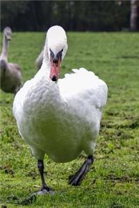 A Charging Swan Journal