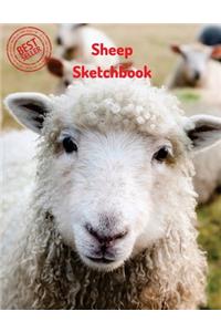 Sheep Sketchbook