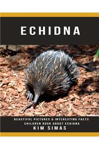 Echidna