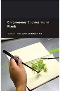 Chromosome Engineering in Plants