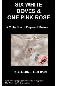 Six White Doves & One Pink Rose