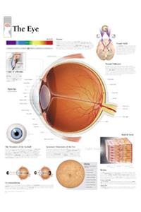 Eye Chart