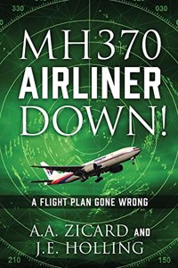 Mh370 Airliner Down!