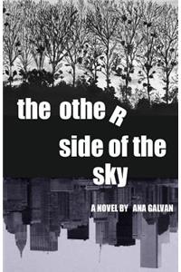 Other Side of the Sky