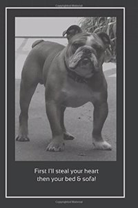 First I'll Steal Your Heart, Then Your Bed & Sofa