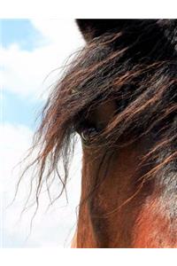 Horse Bullet Journal