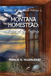 Secrets of the Mind Vol.II