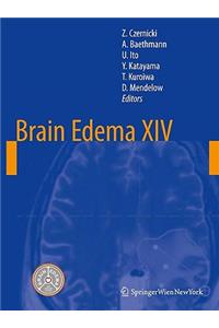 Brain Edema XIV