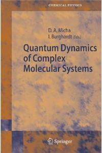 Quantum Dynamics of Complex Molecular Systems