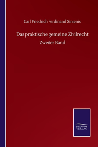 praktische gemeine Zivilrecht