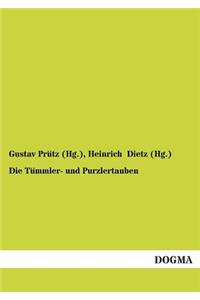Tümmler- und Purzlertauben