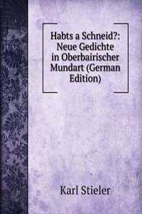 Habts a Schneid?: Neue Gedichte in Oberbairischer Mundart (German Edition)