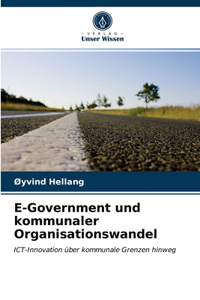 E-Government und kommunaler Organisationswandel